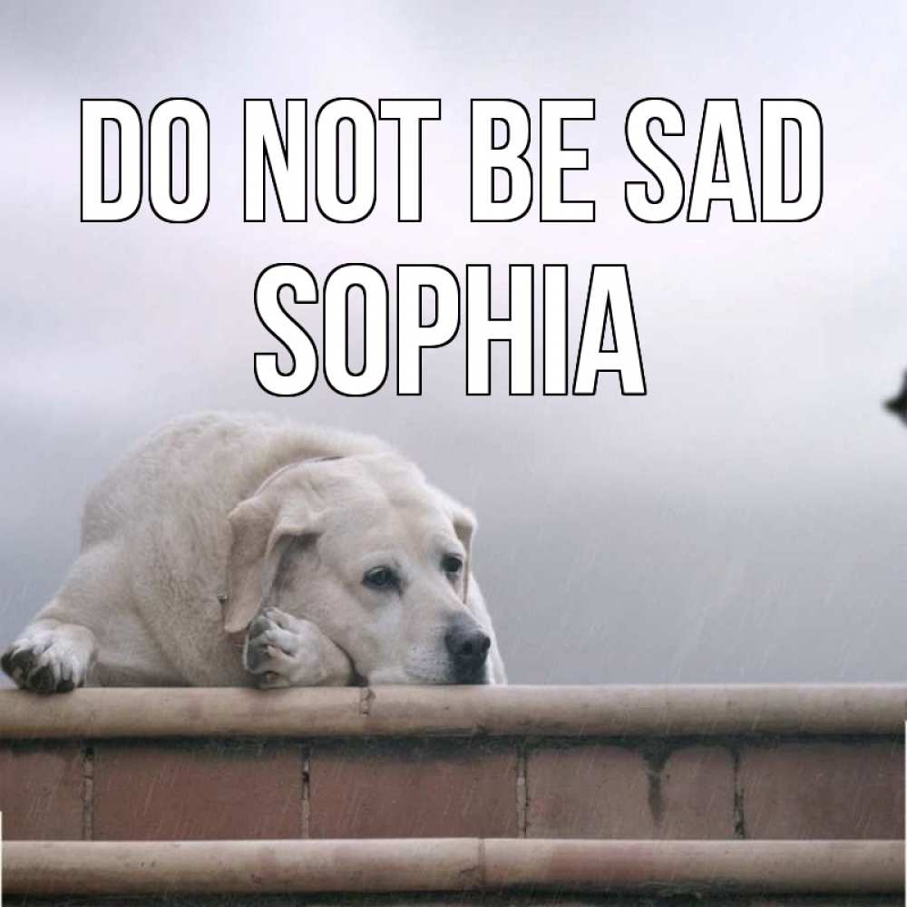 Greetings card с именем, Sophia Do not be sad белый пес 1 Greetings with text for free download 