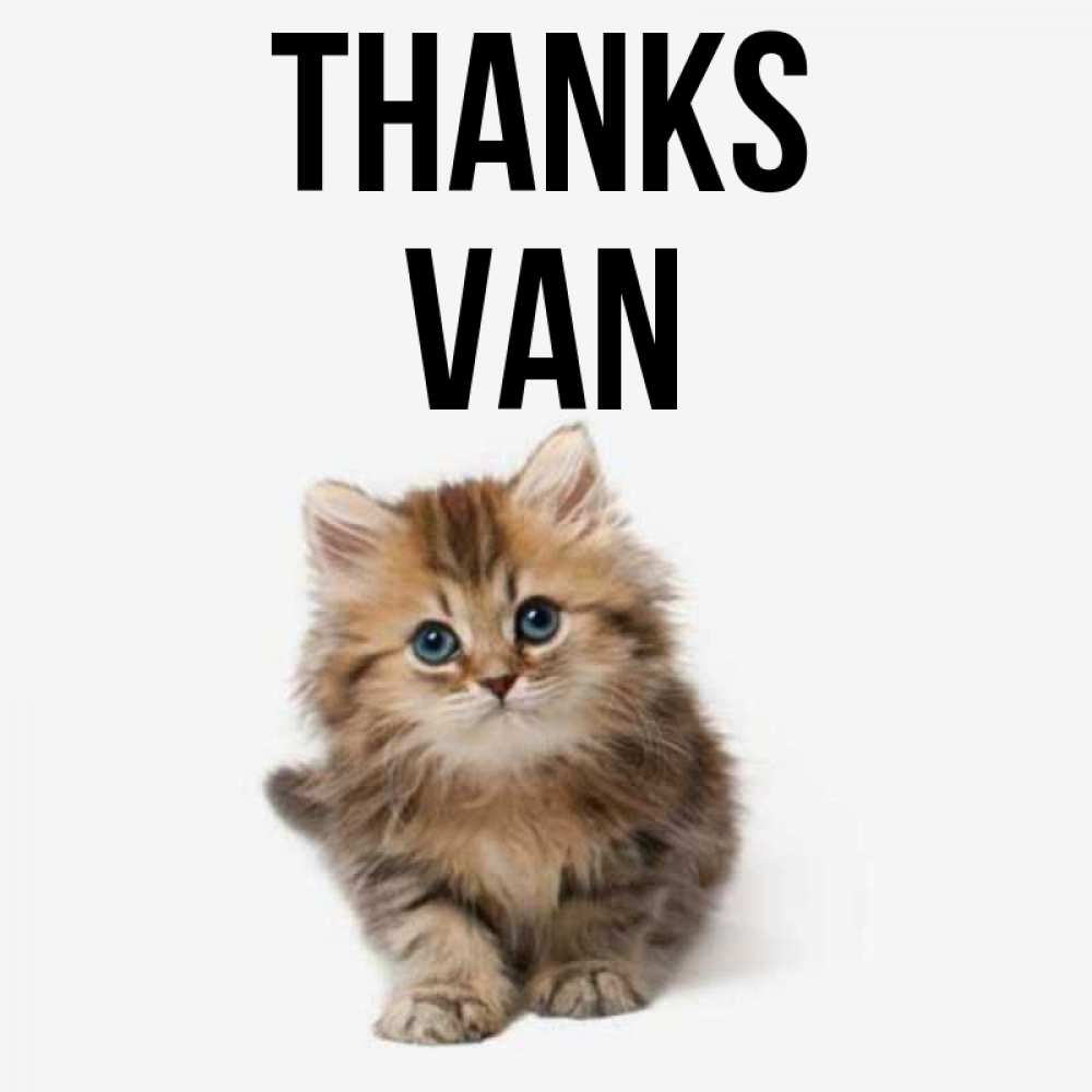 Greetings card с именем, Van Thanks пушистый котик Greetings with text for free download 