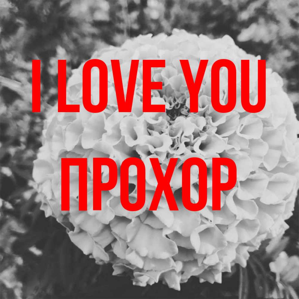 Greetings card с именем, Прохор I love you подпись Greetings with text for free download 