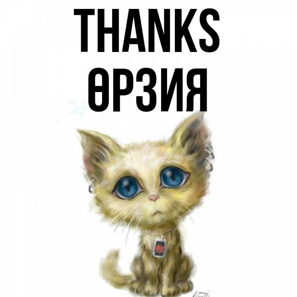 Greetings card с именем, ӨРЗИЯ Thanks рисованный кот благодарит вас Greetings with text for free download 
