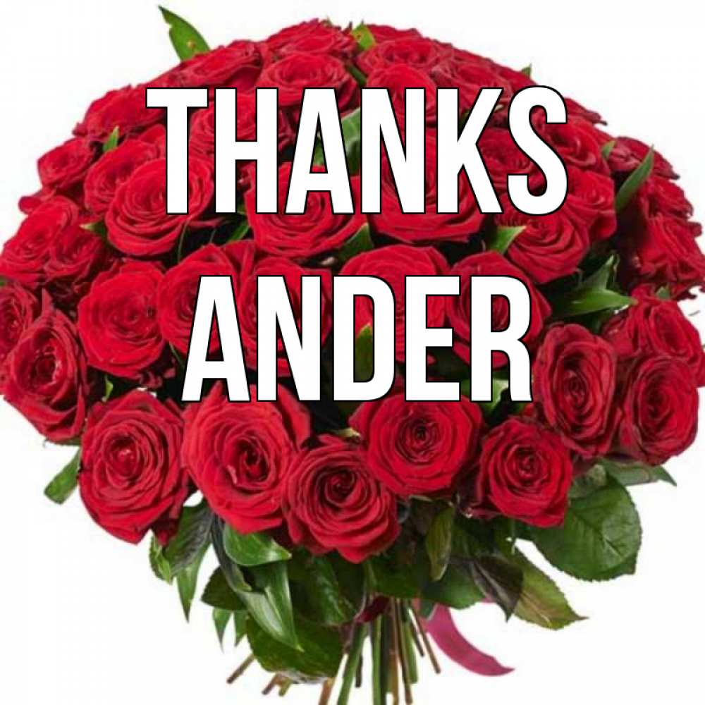 Greetings card с именем, Ander Thanks букет красных роз Greetings with text for free download 