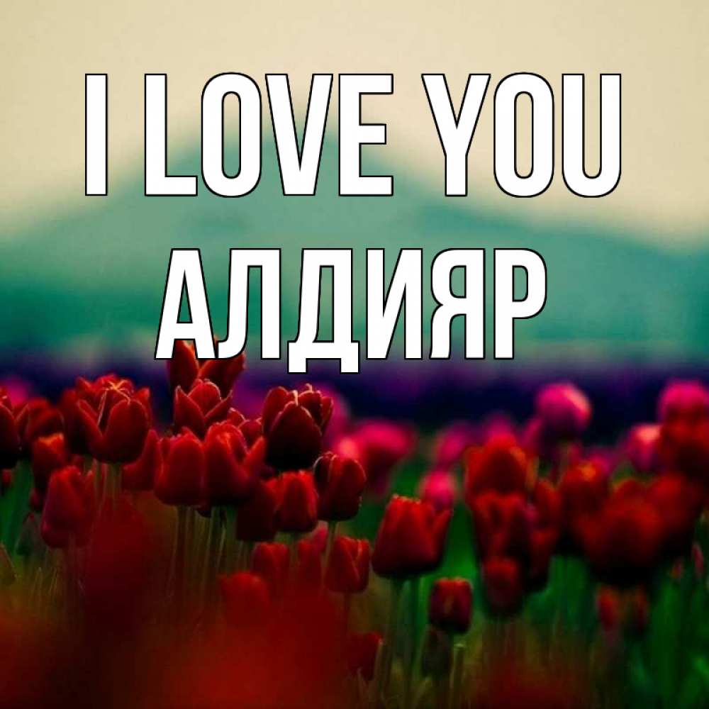 Greetings card с именем, Алдияр I love you тюльпаны 4 Greetings with text for free download 