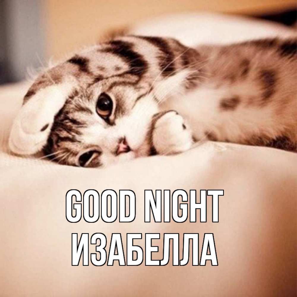 Greetings card с именем, Изабелла Good night сладких снов с животными Greetings with text for free download 