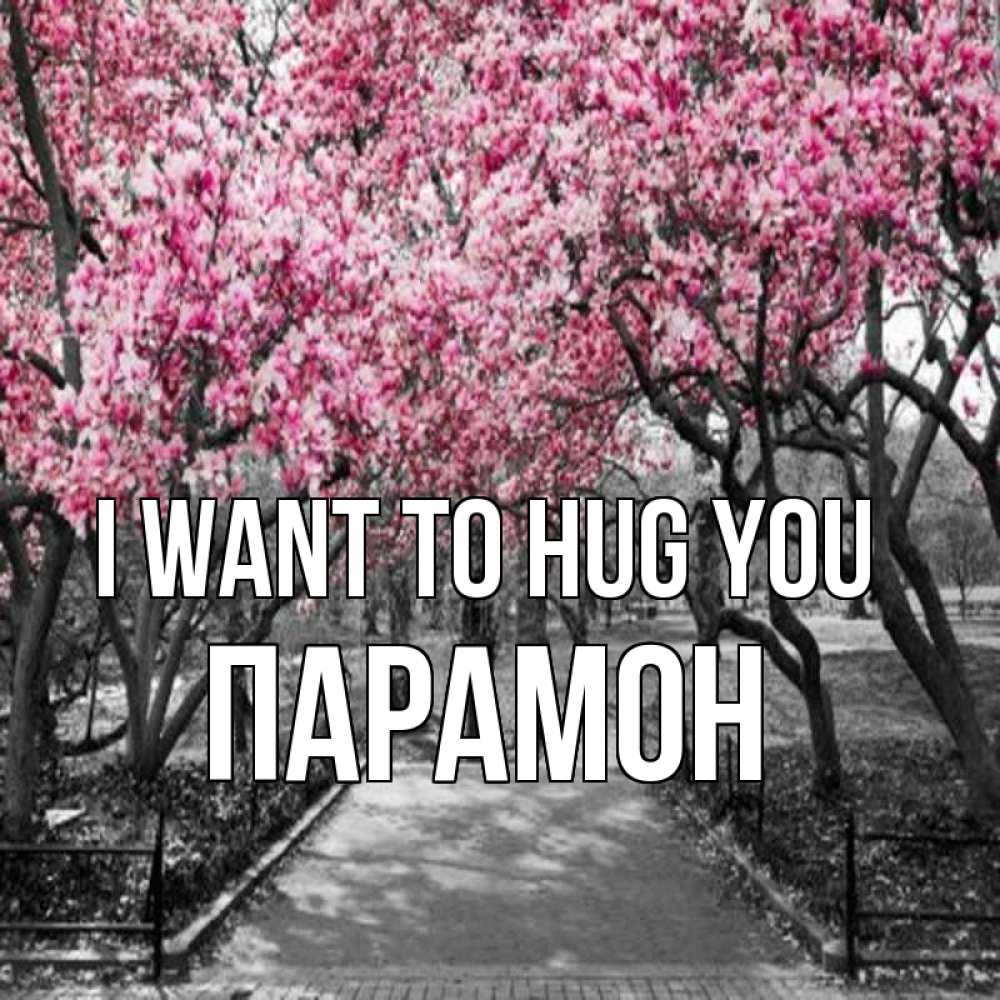 Greetings card с именем, Парамон I want to hug you обработанное фото Greetings with text for free download 