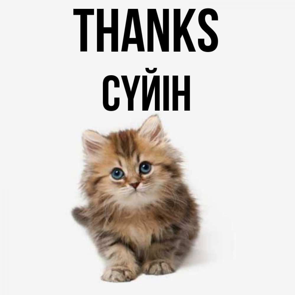 Greetings card с именем, СҮЙІН Thanks пушистый котик Greetings with text for free download 