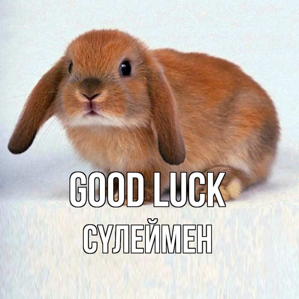 Greetings card с именем, СҮЛЕЙМЕН Good luck вставить текст в открытку по выбору Greetings with text for free download 