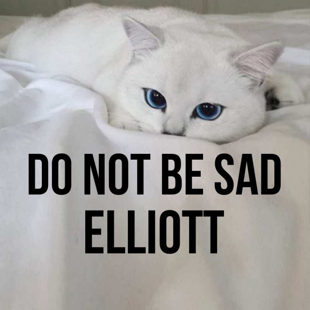 Greetings card с именем, Elliott Do not be sad Голубоглазая кошка Greetings with text for free download 