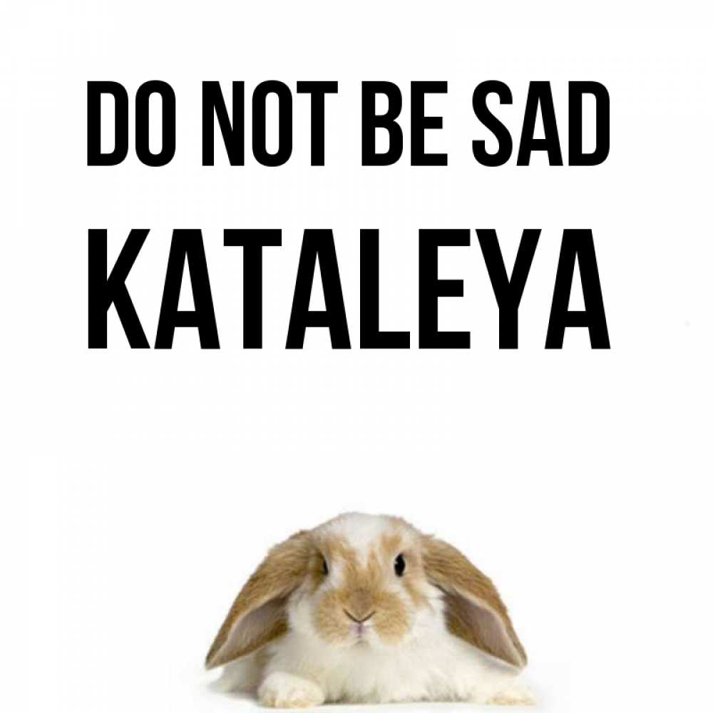 Greetings card с именем, Kataleya Do not be sad коричнево белый заяц с большими ушками Greetings with text for free download 