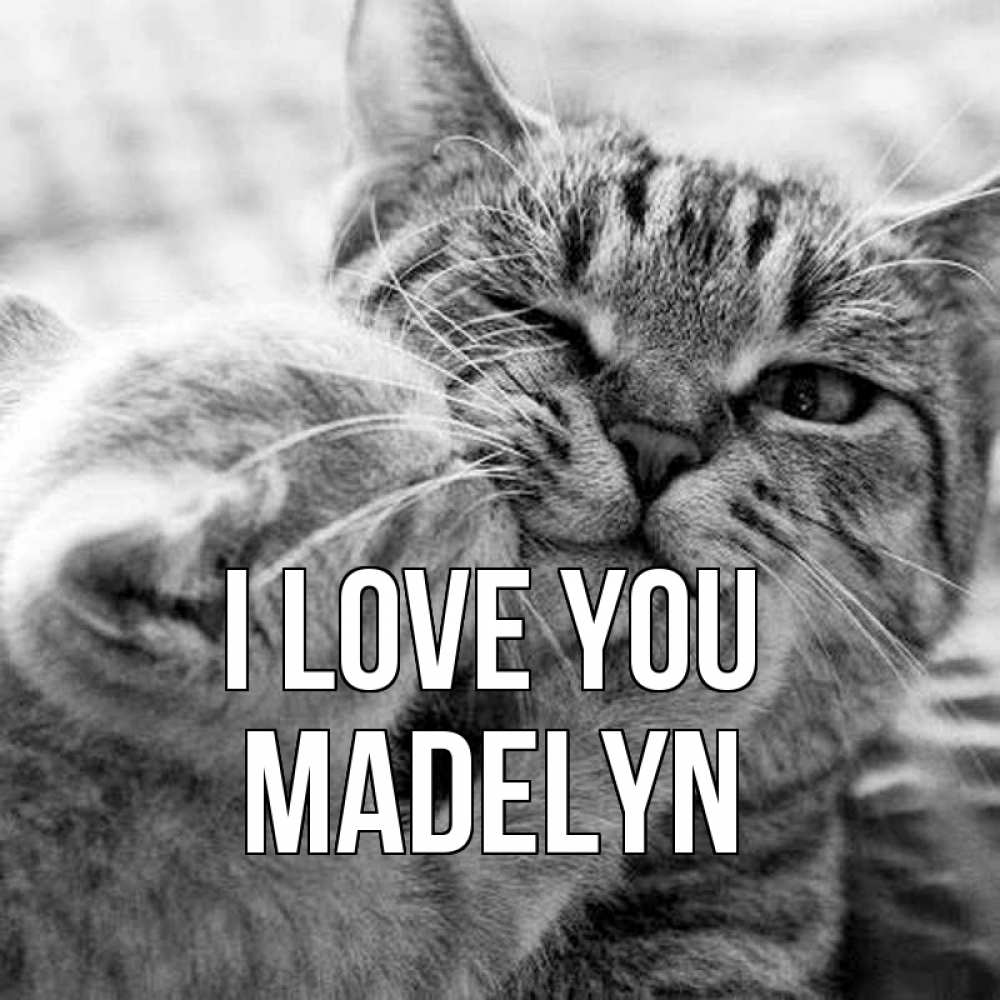 Greetings card с именем, Madelyn I love you коты Greetings with text for free download 