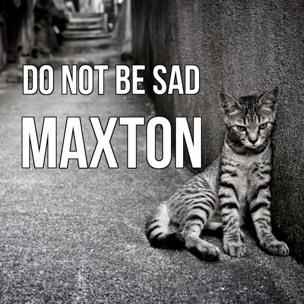 Greetings card с именем, Maxton Do not be sad скучающий котик Greetings with text for free download 