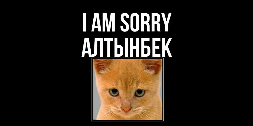Greetings card с именем, Алтынбек I am sorry рыжий грустный кот просит прощения Greetings with text for free download 