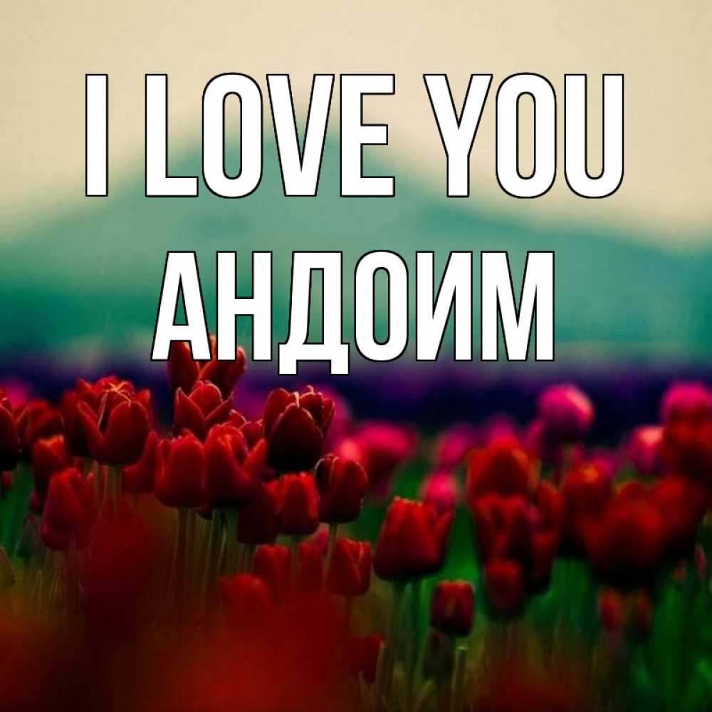 Greetings card с именем, Андоим I love you тюльпаны 4 Greetings with text for free download 