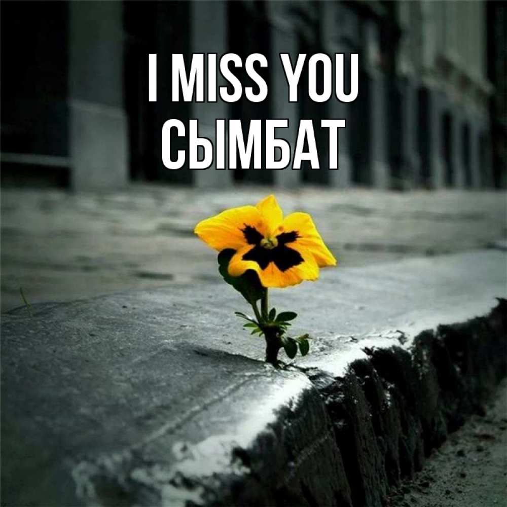Greetings card с именем, СЫМБАТ I miss you надеюсь будет лучше Greetings with text for free download 