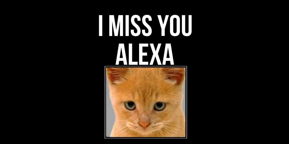 Greetings card с именем, Alexa I miss you открытки рыжий котенок скучает по тебе Greetings with text for free download 
