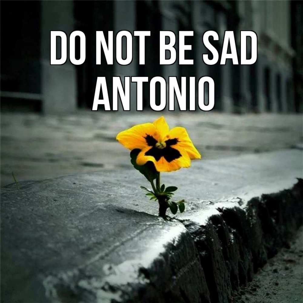 Greetings card с именем, Antonio Do not be sad не сдавайся Greetings with text for free download 