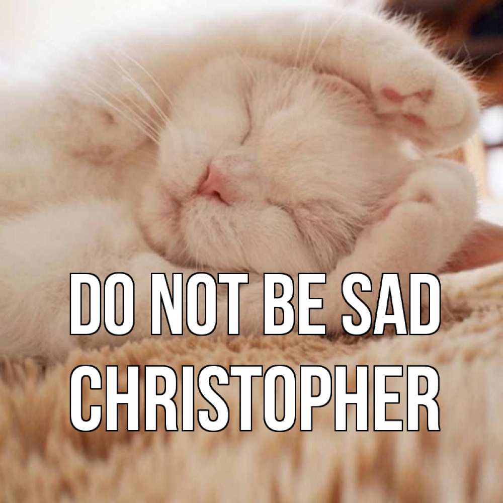 Greetings card с именем, Christopher Do not be sad белый кот Greetings with text for free download 