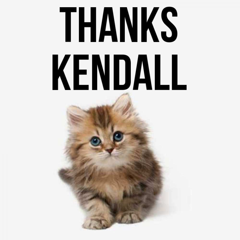 Greetings card с именем, Kendall Thanks пушистый котик Greetings with text for free download 