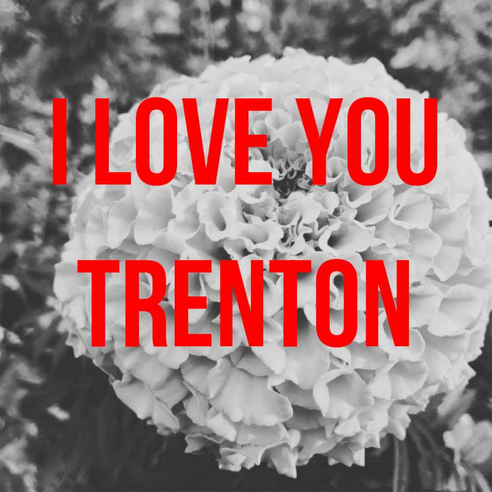 Greetings card с именем, Trenton I love you подпись Greetings with text for free download 