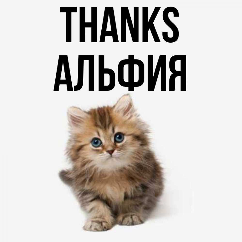 Greetings card с именем, Альфия Thanks пушистый котик Greetings with text for free download 