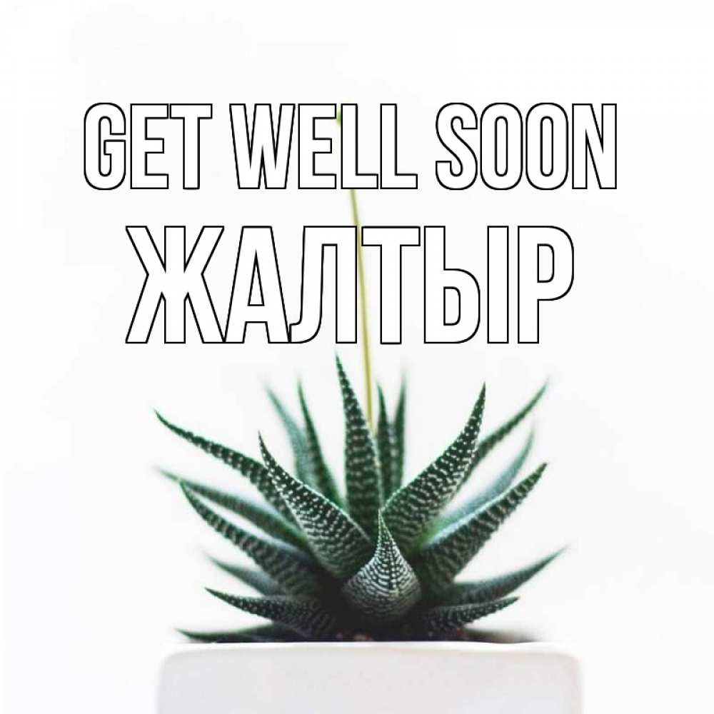 Greetings card с именем, Жалтыр Get well soon короче это непонятная колючка Greetings with text for free download 