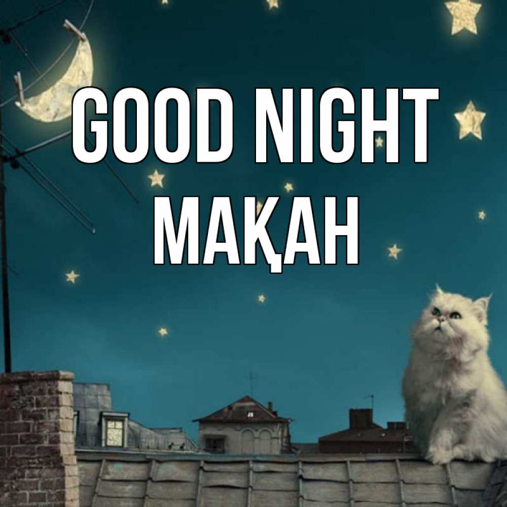 Greetings card с именем, Мақан Good night белый кот сидит на крыше Greetings with text for free download 