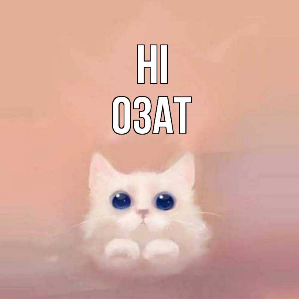 Greetings card с именем, ОЗАТ Hi котик белый в полете Greetings with text for free download 