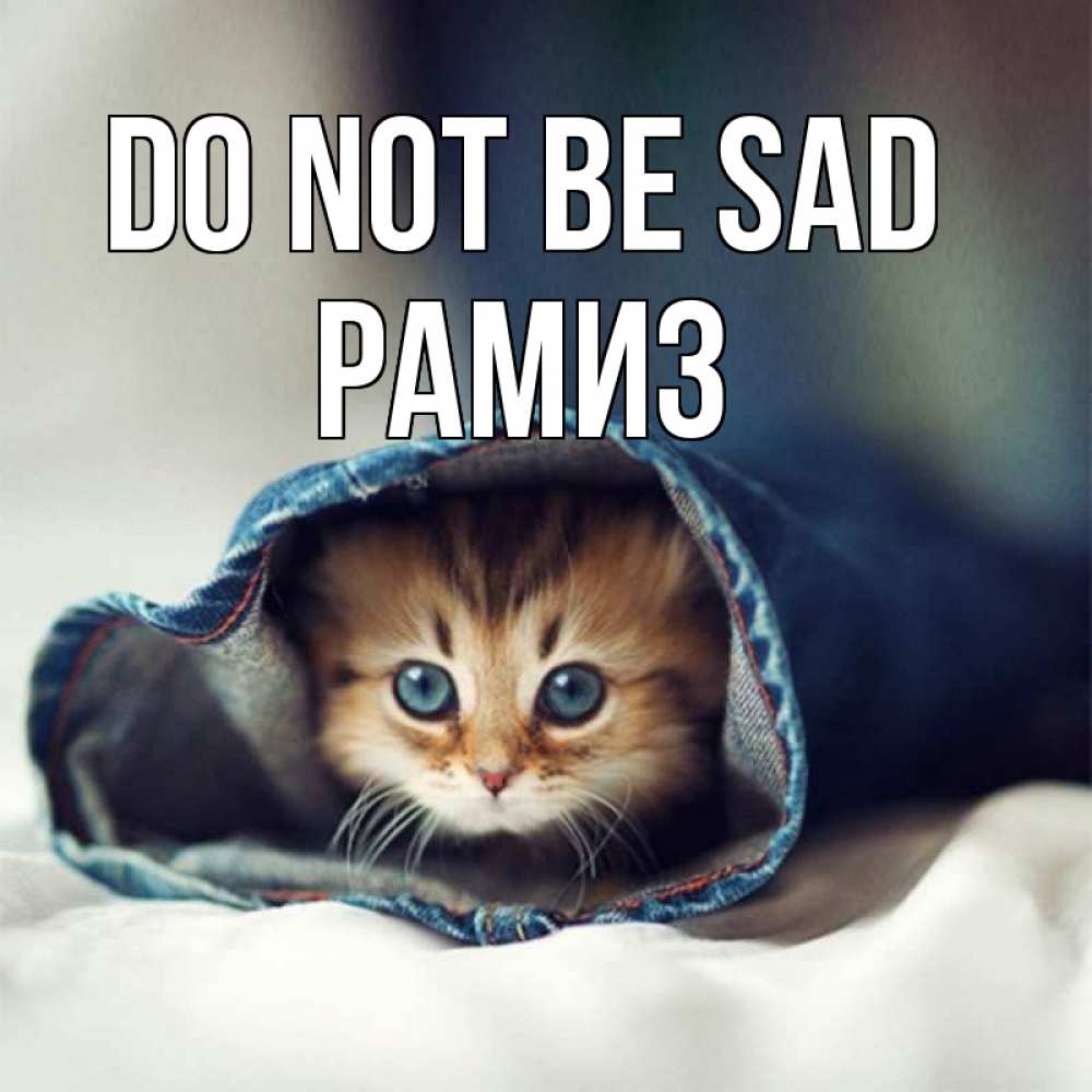 Greetings card с именем, РАМИЗ Do not be sad рыжик котик Greetings with text for free download 