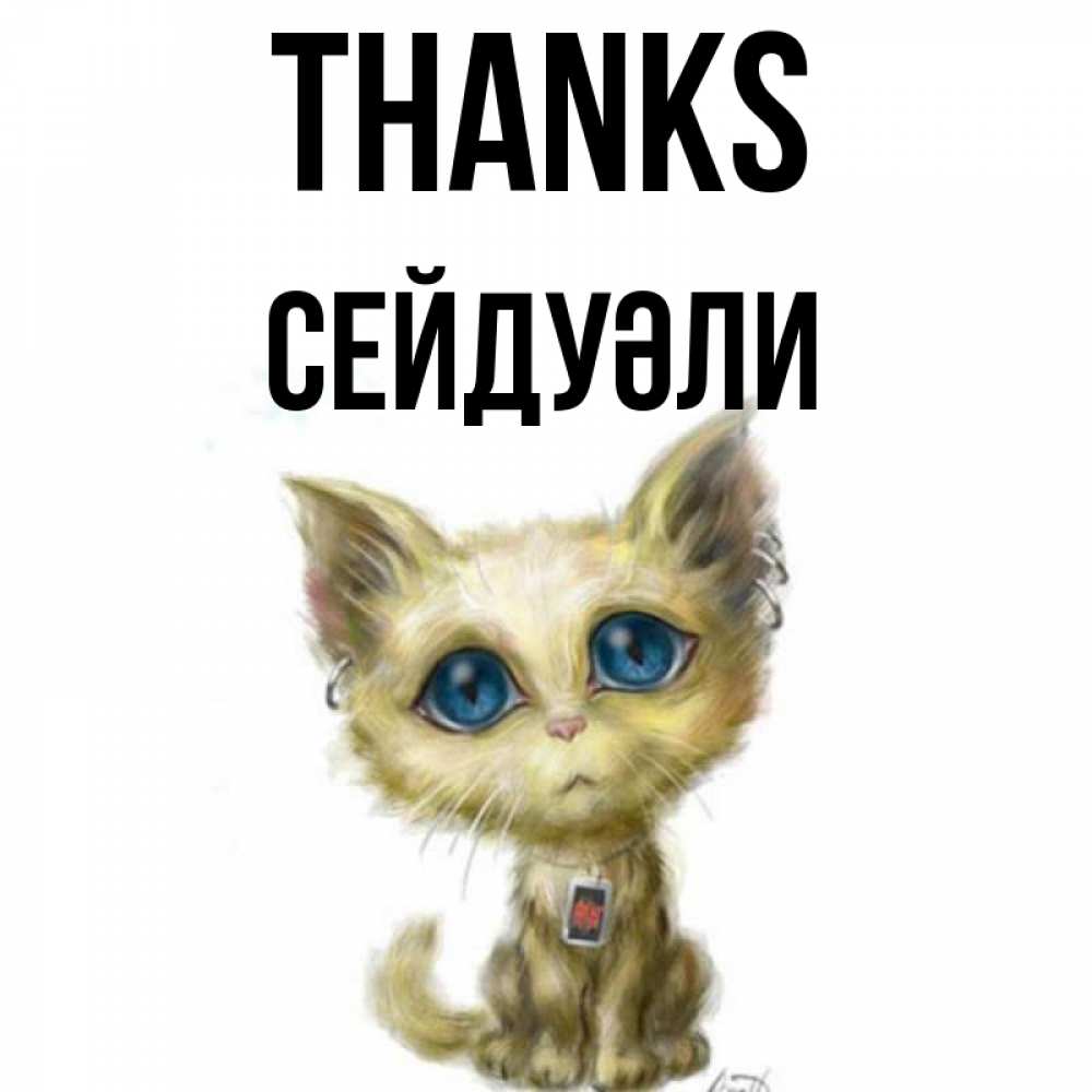 Greetings card с именем, СЕЙДУӘЛИ Thanks рисованный кот благодарит вас Greetings with text for free download 