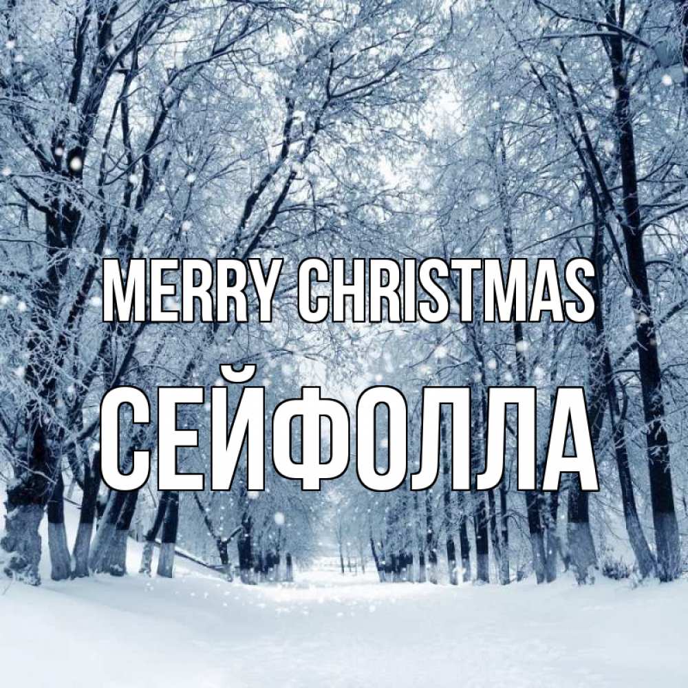 Greetings card с именем, СЕЙФОЛЛА Merry Christmas снег, лес, парк Greetings with text for free download 