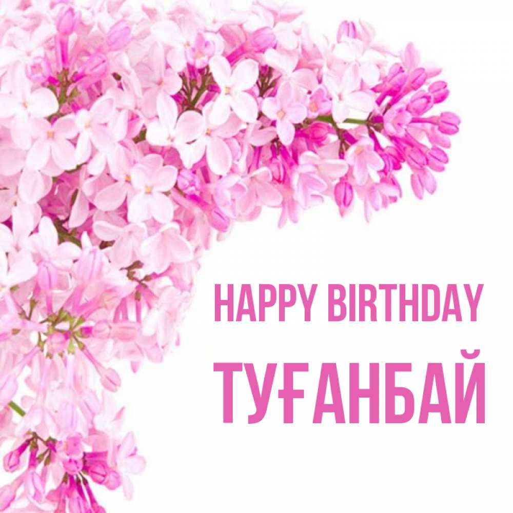 Greetings card с именем, ТУҒАНБАЙ Happy Birthday Сирень на белом фоне Greetings with text for free download 