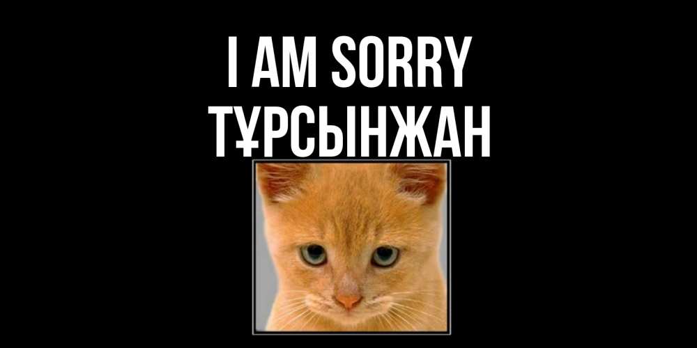 Greetings card с именем, ТҰРСЫНЖАН I am sorry рыжий грустный кот просит прощения Greetings with text for free download 