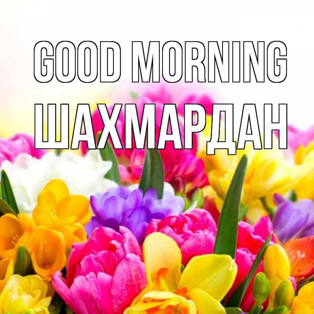 Greetings card с именем, ШАХМАРДАН Good morning создать открытку со свое подписью Greetings with text for free download 