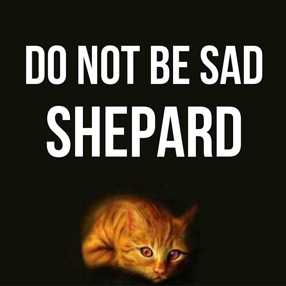 Greetings card с именем, Shepard Do not be sad лежащий кот в темноте Greetings with text for free download 