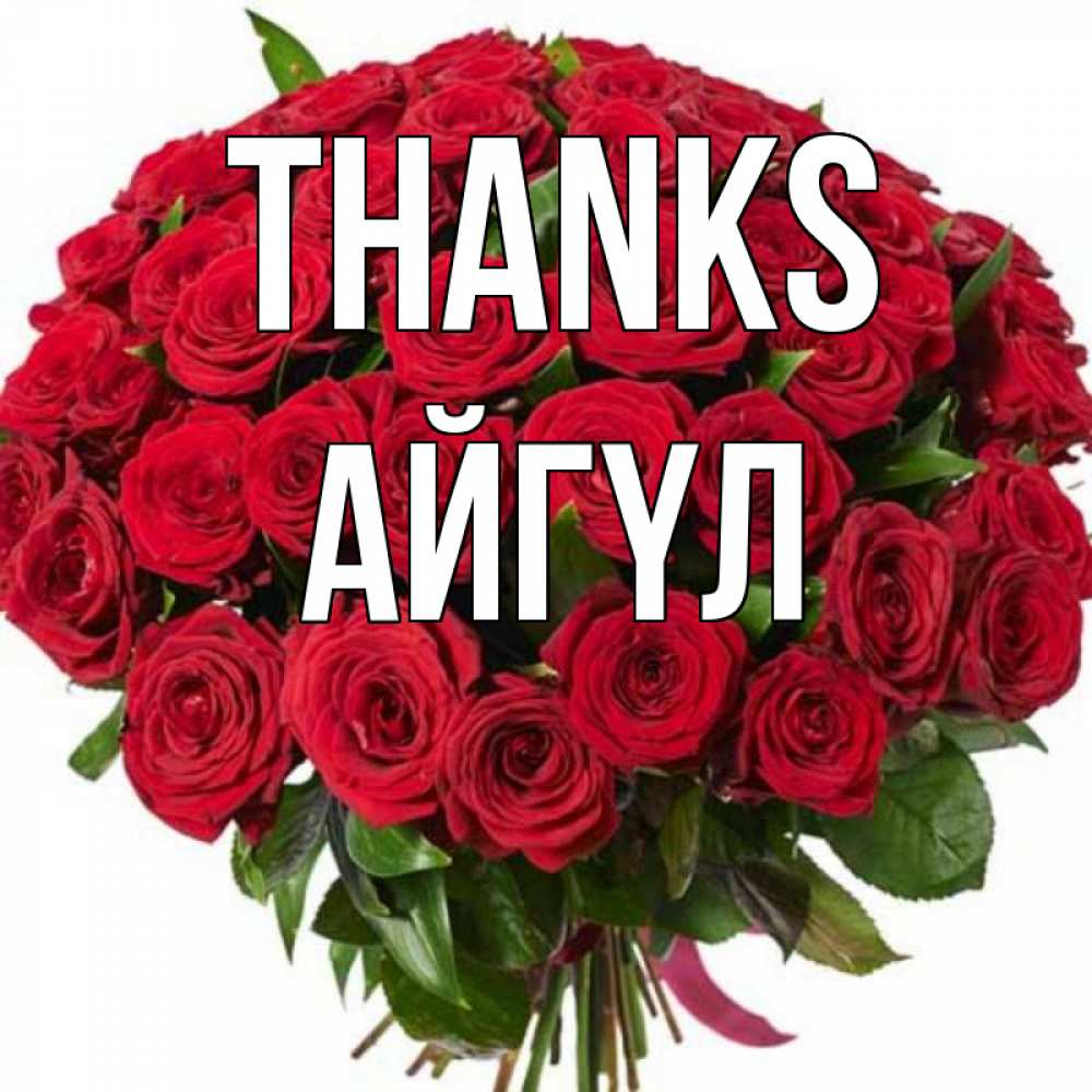 Greetings card с именем, АЙГҮЛ Thanks букет красных роз Greetings with text for free download 