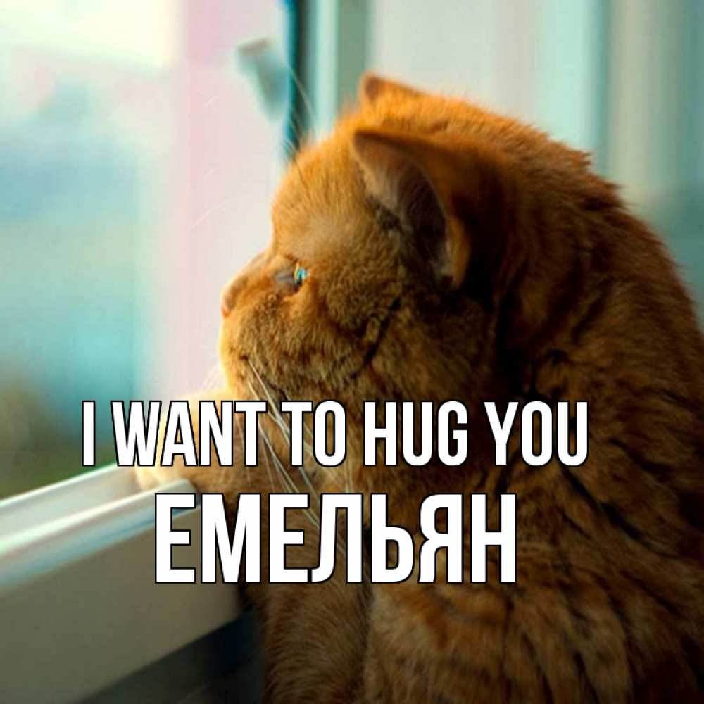 Greetings card с именем, Емельян I want to hug you большой огромный рыжий котяра Greetings with text for free download 