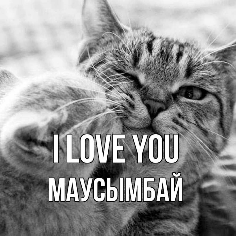 Greetings card с именем, МАУСЫМБАЙ I love you коты Greetings with text for free download 
