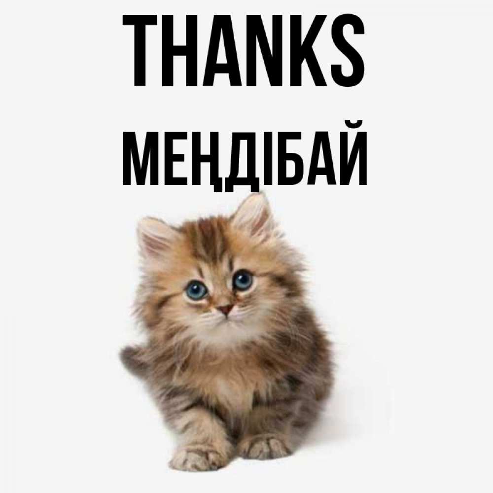 Greetings card с именем, МЕҢДІБАЙ Thanks пушистый котик Greetings with text for free download 