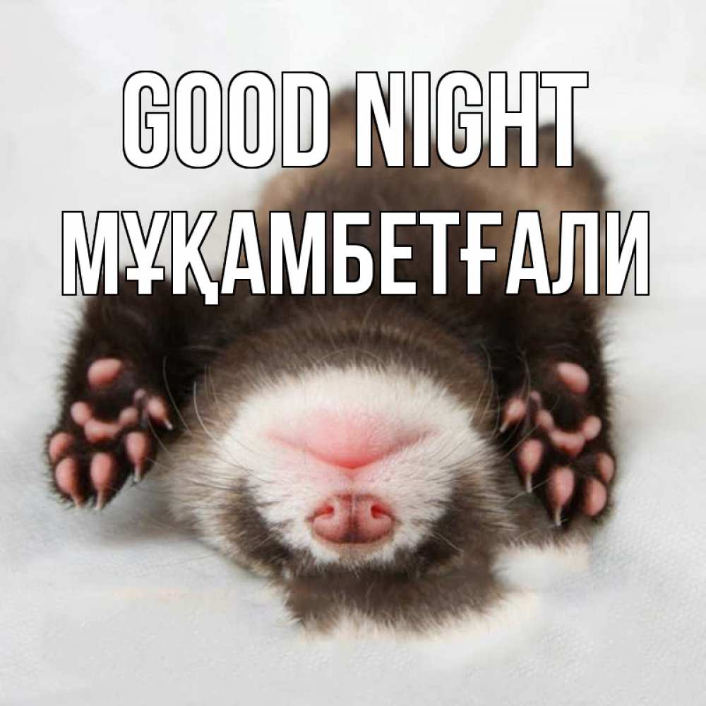 Greetings card с именем, Мұқамбетғали Good night зверек Greetings with text for free download 