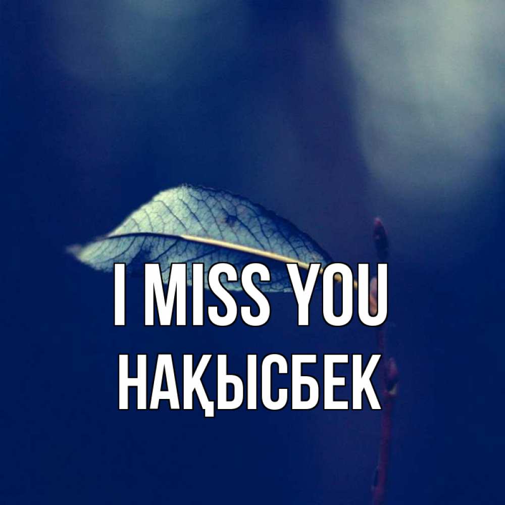 Greetings card с именем, НАҚЫСБЕК I miss you одна ветка 1 Greetings with text for free download 