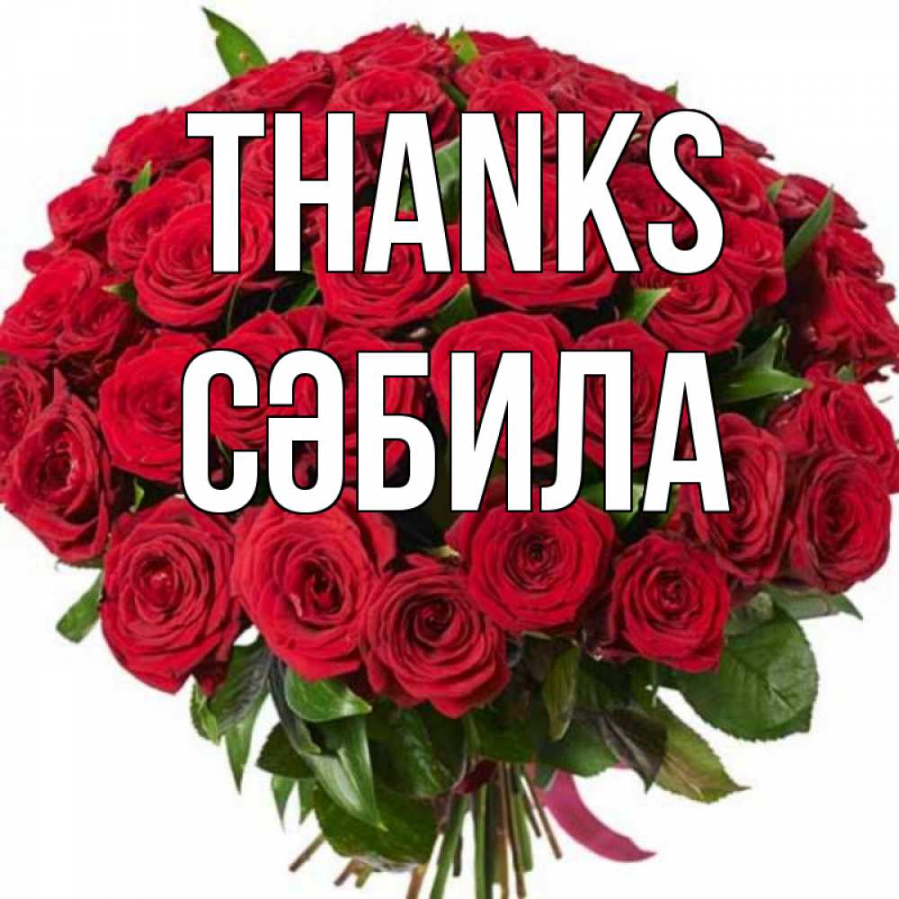 Greetings card с именем, СӘБИЛА Thanks букет красных роз Greetings with text for free download 