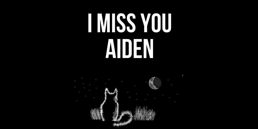Greetings card с именем, Aiden I miss you кот Greetings with text for free download 