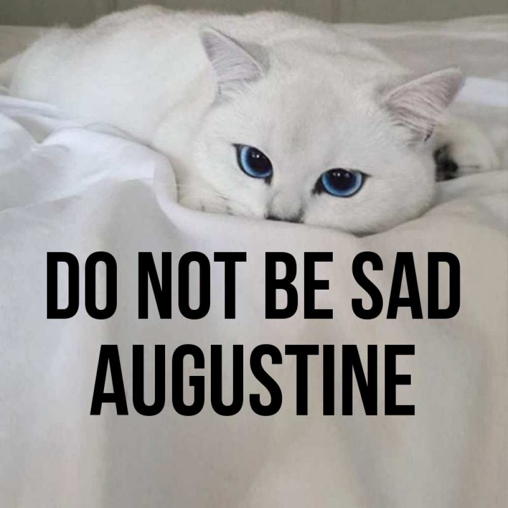 Greetings card с именем, Augustine Do not be sad Голубоглазая кошка Greetings with text for free download 
