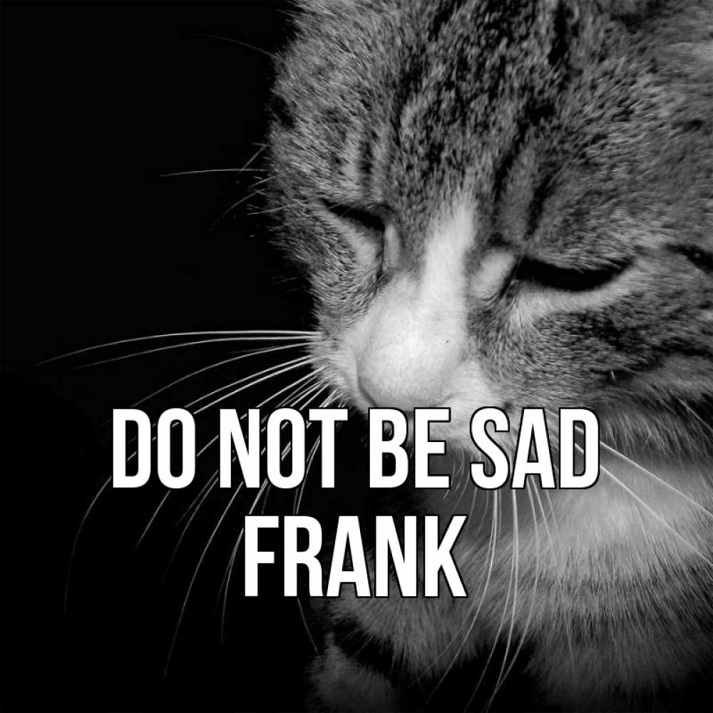 Greetings card с именем, Frank Do not be sad грустный котик Greetings with text for free download 