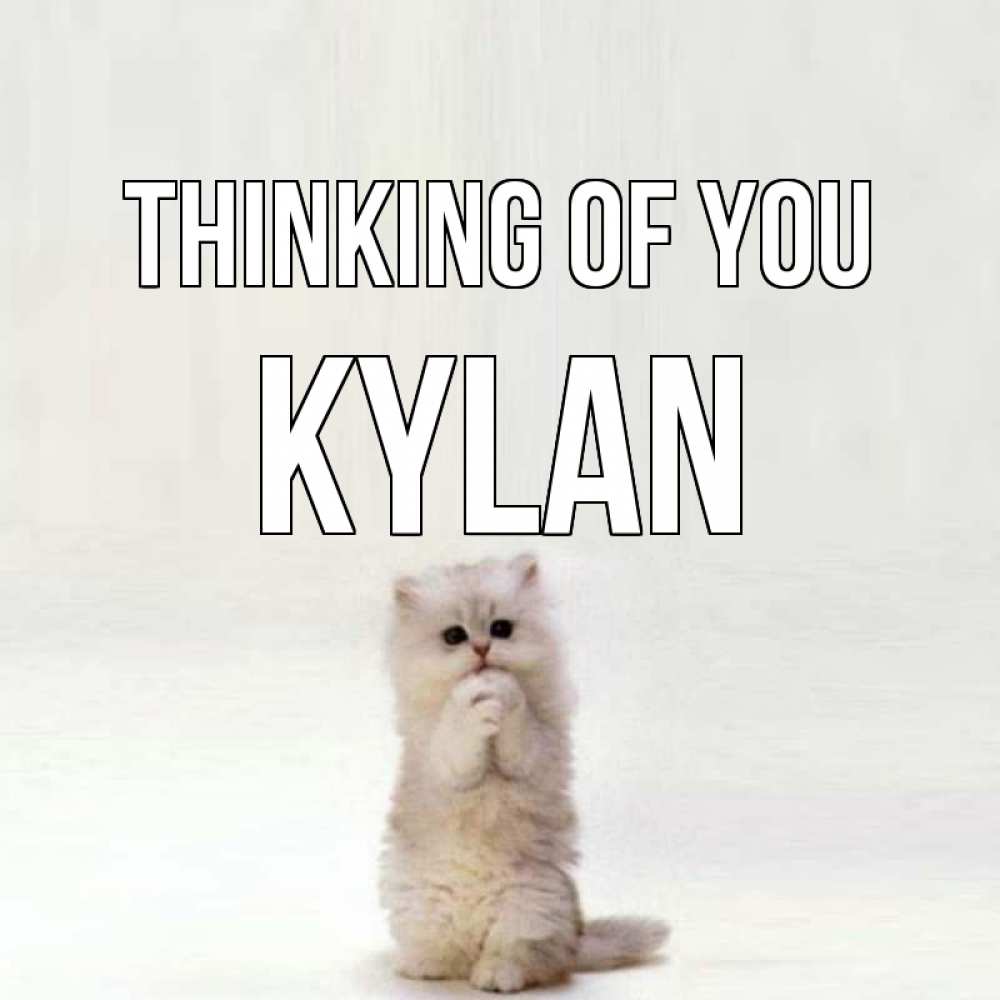 Greetings card с именем, Kylan Thinking of you кот стоит на задних лапах Greetings with text for free download 