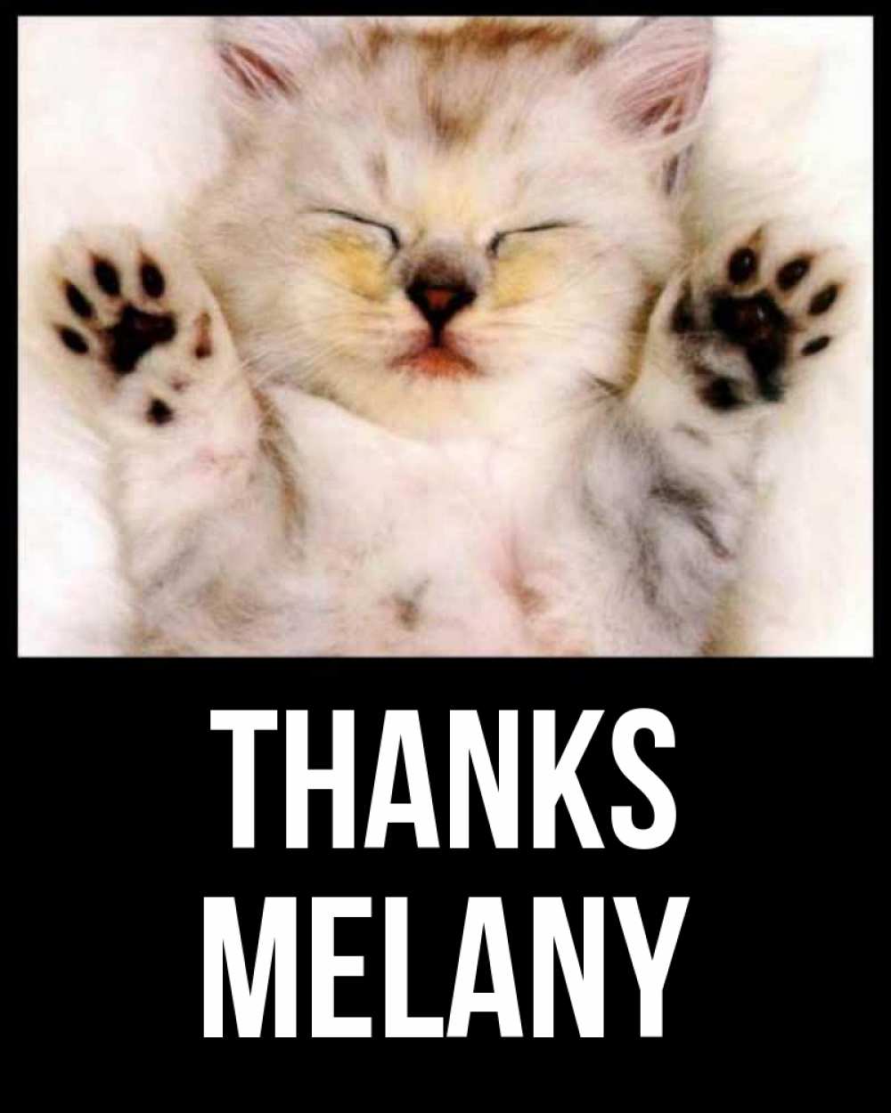 Greetings card с именем, Melany Thanks маленький котенок Greetings with text for free download 