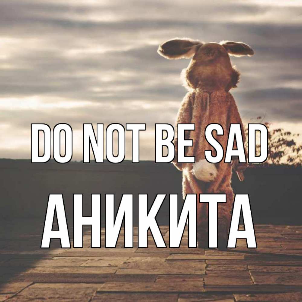 Greetings card с именем, Аникита Do not be sad со спины Greetings with text for free download 