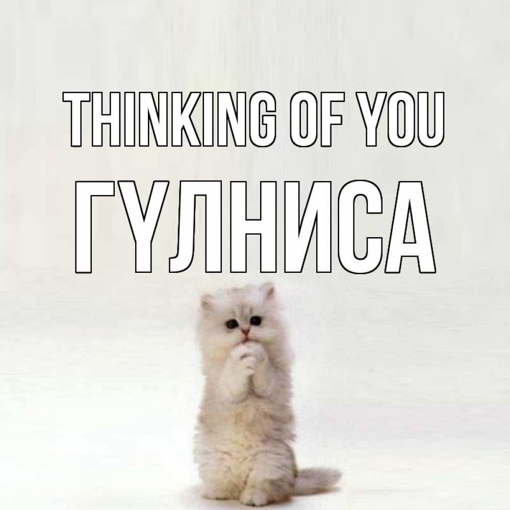 Greetings card с именем, ГҮЛНИСА Thinking of you кот стоит на задних лапах Greetings with text for free download 