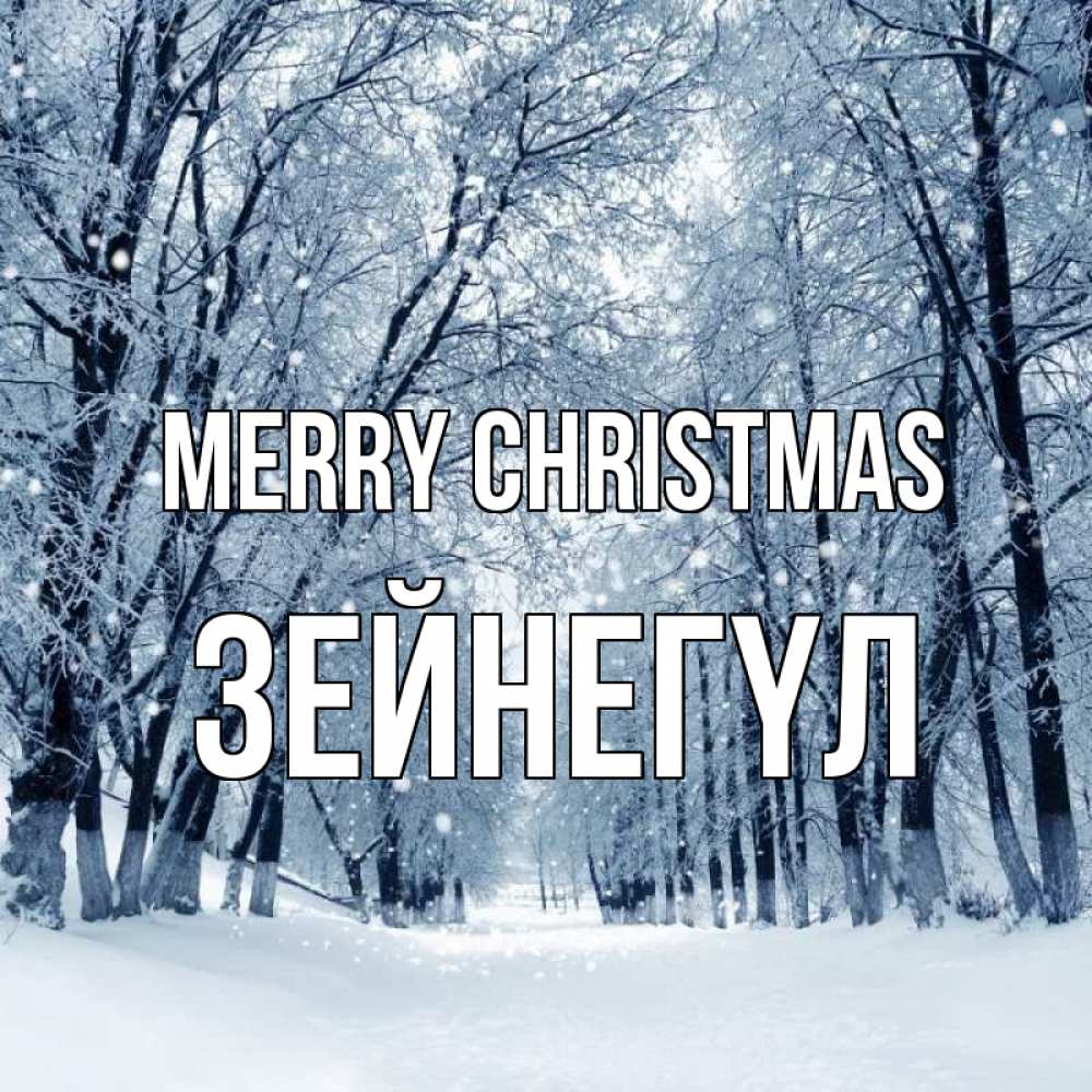 Greetings card с именем, ЗЕЙНЕГҮЛ Merry Christmas снег, лес, парк Greetings with text for free download 