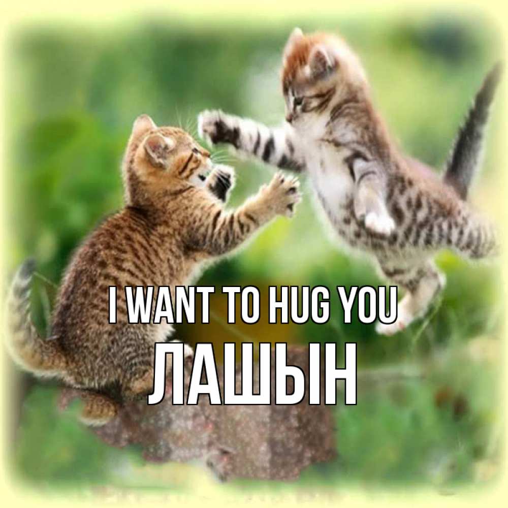 Greetings card с именем, ЛАШЫН I want to hug you игры котят Greetings with text for free download 