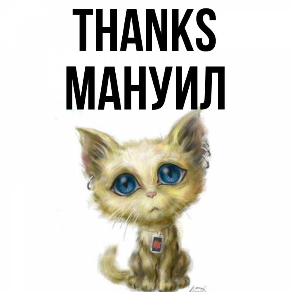Greetings card с именем, Мануил Thanks рисованный кот благодарит вас Greetings with text for free download 